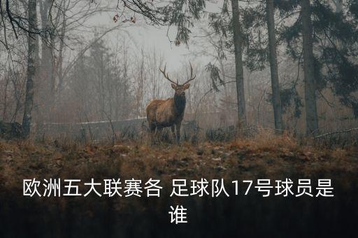 甘岡與雷恩足球基本面