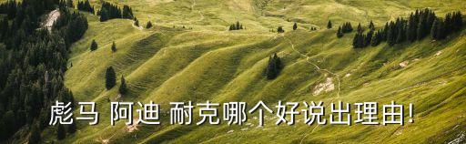 阿迪和耐克哪個(gè)足球鞋好,阿迪與耐克哪個(gè)更高端