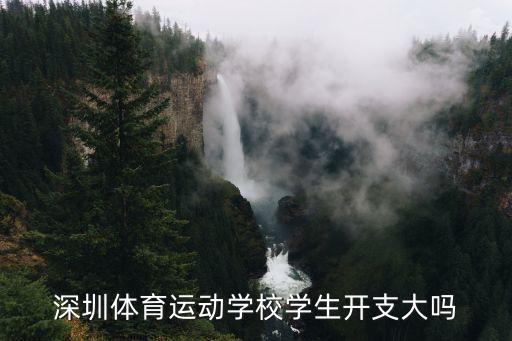 深圳體育運(yùn)動(dòng)學(xué)校學(xué)生開(kāi)支大嗎