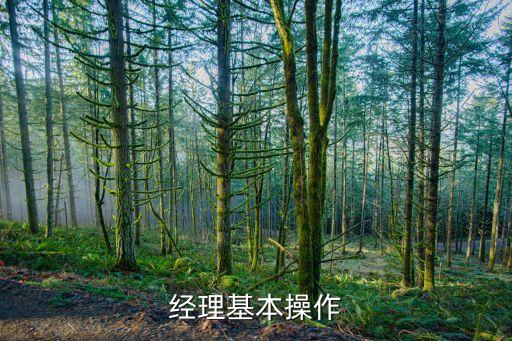 足球經(jīng)理基本操作