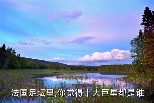  法國足壇里,你覺得十大巨星都是誰