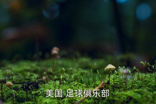 美國 足球俱樂部