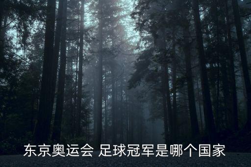 東京奧運(yùn)會(huì) 足球冠軍是哪個(gè)國(guó)家