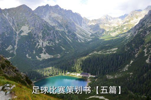  足球比賽策劃書(shū)【五篇】