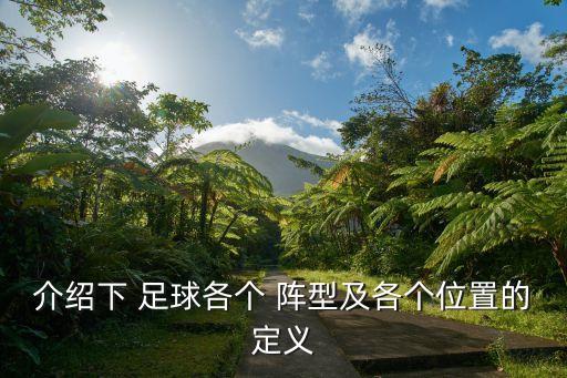 介紹下 足球各個 陣型及各個位置的定義