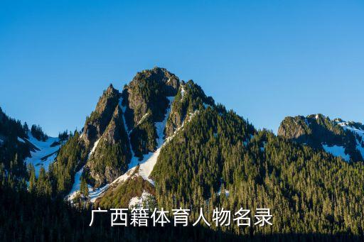 北京人和足球俱樂部 隊(duì)員,2023年北京人和足球俱樂部