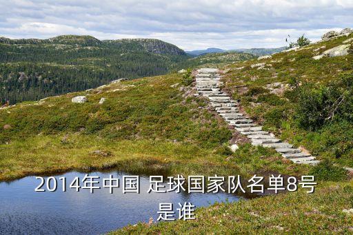 足球任航個人資料,足球裁判馬寧個人資料