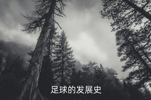  足球的發(fā)展史