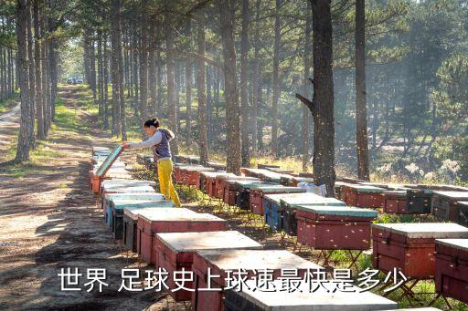 足球速度,世界上最快的足球速度