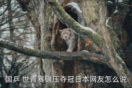 2017足球世青賽8強