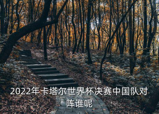 2022年卡塔爾世界杯決賽中國隊對陣誰呢