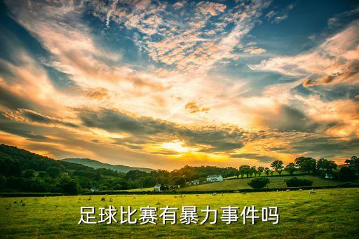 足球比賽有暴力事件嗎