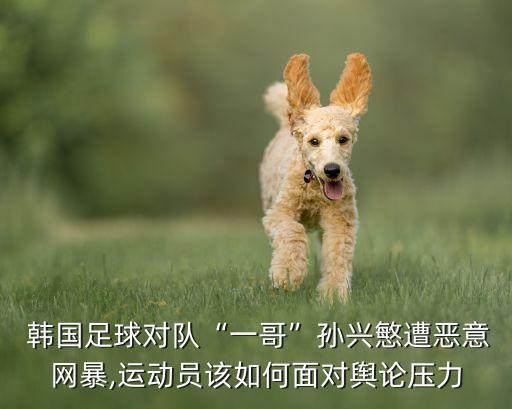  韓國足球?qū)﹃牎耙桓纭睂O興慜遭惡意網(wǎng)暴,運動員該如何面對輿論壓力