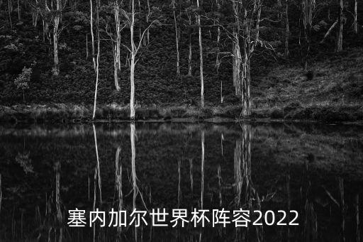  塞內加爾世界杯陣容2022