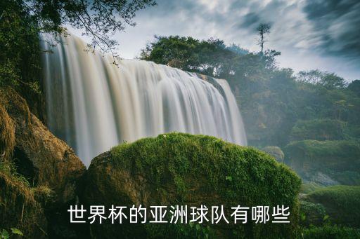 世界杯的亞洲球隊有哪些