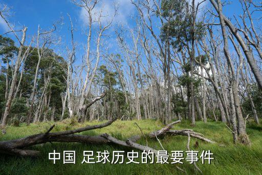足球中國vs緬甸,緬甸足球厲害嗎