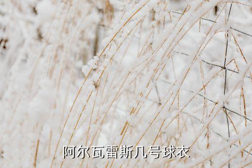 阿爾瓦雷斯幾號(hào)球衣