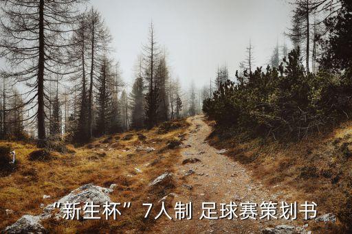 足球賽2017全過程,中國杯足球賽2017