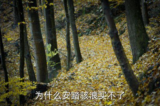 為什么安踏駭浪買不了
