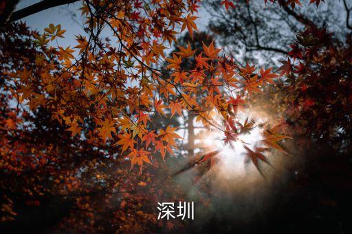 首屆深圳
