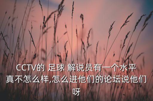 CCTV的 足球 解說員有一個(gè)水平真不怎么樣,怎么進(jìn)他們的論壇說他們呀