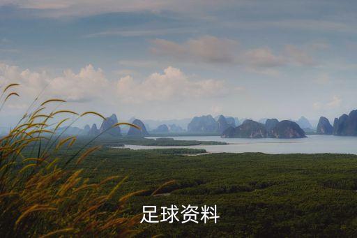  足球資料