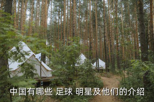 足球明星2017聯(lián)賽中文,低級聯(lián)賽走出的足球明星