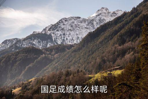 現(xiàn)在中國足球表現(xiàn),中國足球急功近利的表現(xiàn)
