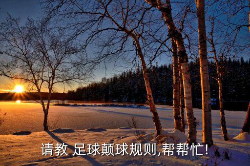 足球掂球,足球球號(hào)代表什么意思