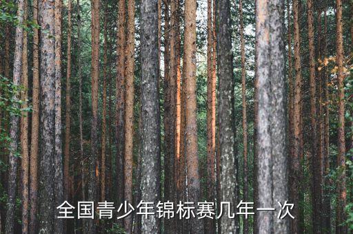 全國(guó)青少年錦標(biāo)賽幾年一次