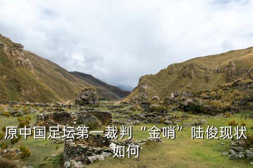 世界足球五大黑哨