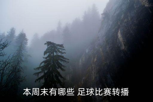 本周末有哪些 足球比賽轉(zhuǎn)播