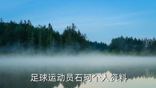 浙江綠城足球隊員名單,阿根廷足球隊員名單
