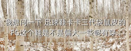 我想問一下 足球鞋卡卡三代袋鼠皮的FG這個(gè)鞋是不是偏大一些呢有穿...
