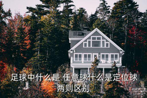  足球中什么是 任意球什么是定位球兩則區(qū)別