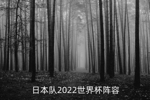  日本隊(duì)2022世界杯陣容