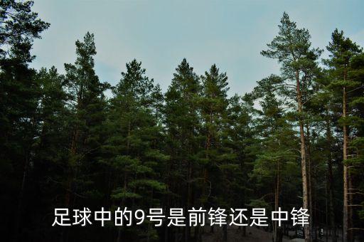 足球中的9號是前鋒還是中鋒