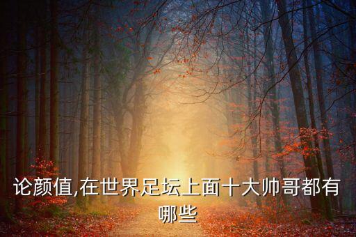 論顏值,在世界足壇上面十大帥哥都有哪些