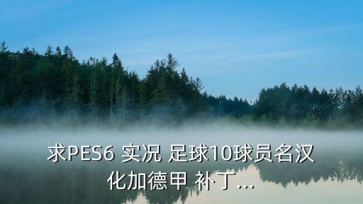 求PES6 實(shí)況 足球10球員名漢化加德甲 補丁...