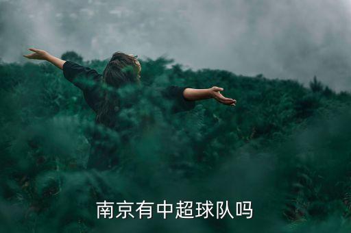 江蘇蘇寧足球隊(duì)陣容名單,蘇寧足球隊(duì)外援名單
