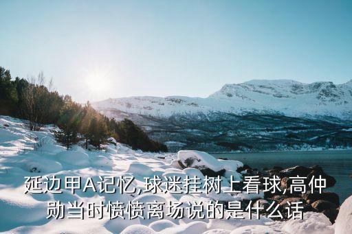 延邊甲A記憶,球迷掛樹上看球,高仲勛當時憤憤離場說的是什么話