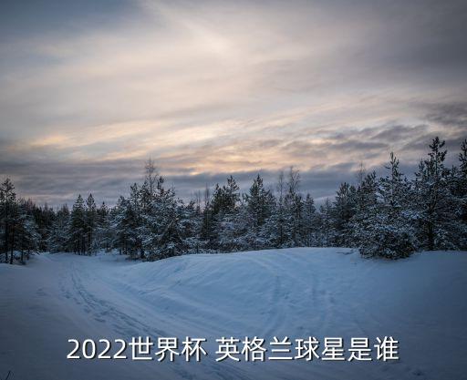 2022世界杯 英格蘭球星是誰(shuí)