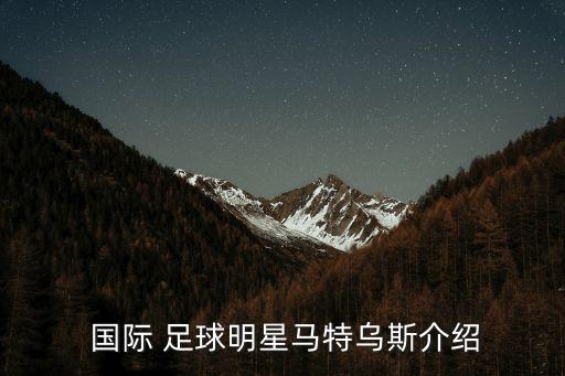 國際足壇跑動最積極的足球運動員