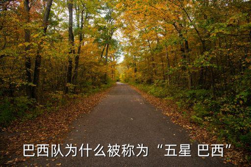 1958年巴西足球