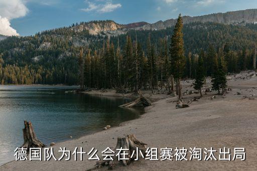 2017德國足球退役,德國足球運動員為什么退役早