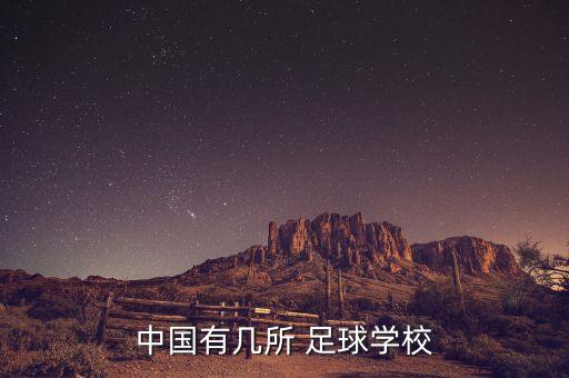 中國有幾所 足球?qū)W校