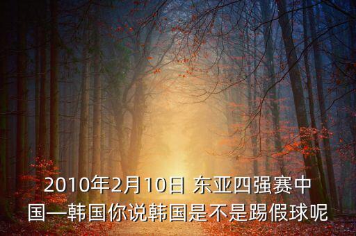 2010年2月10日 東亞四強賽中國—韓國你說韓國是不是踢假球呢