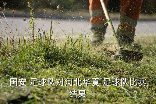 國(guó)安 足球隊(duì)對(duì)河北華夏 足球隊(duì)比賽結(jié)果