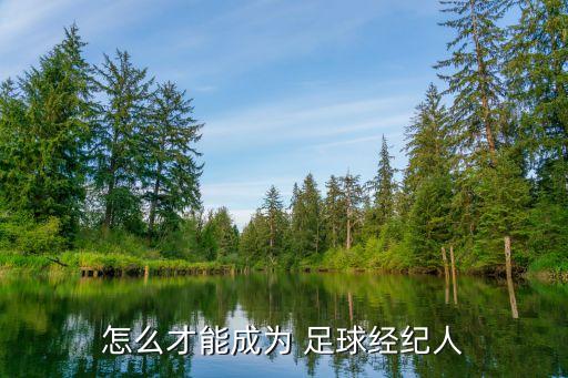 怎么才能成為 足球經(jīng)紀(jì)人