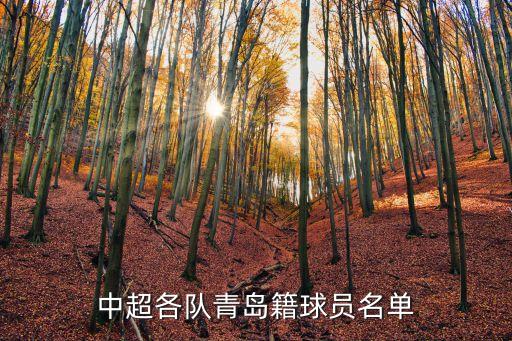 張帥 足球,張帥足球北京國安中后衛(wèi)